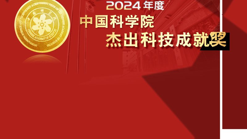 数据按需定制平台：揭秘其排名背后的逻辑
